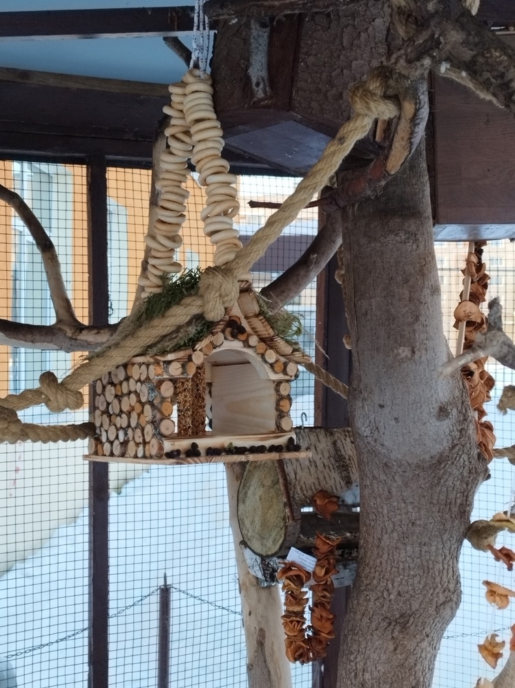     фото: эколого-биологический центр