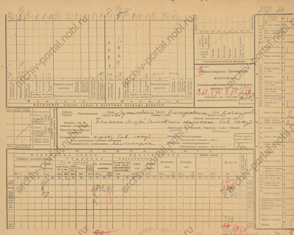 Подворная карточка крестьянина села Кочкурова, Балакина Матвея Семёновича. ЦАНО ф.Р-124 оп.4 д.5 л.250.