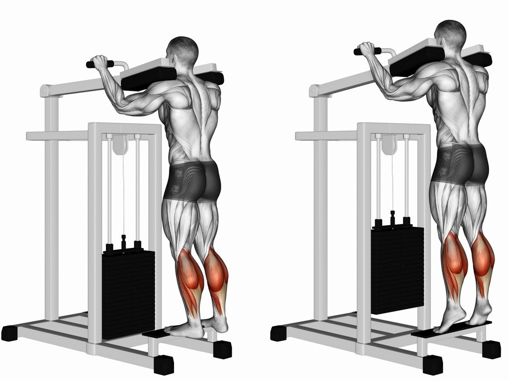 Подъем на носки в тренажере стоя