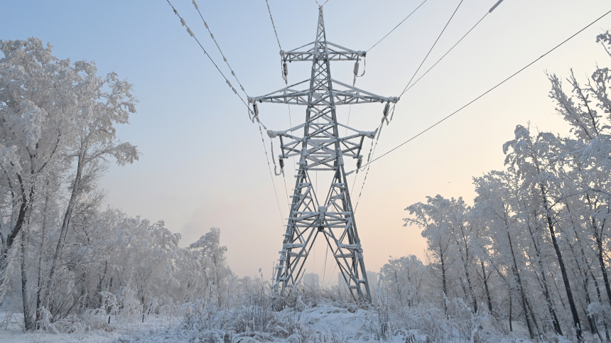    Фото: © РИА Новости/Илья Наймушин