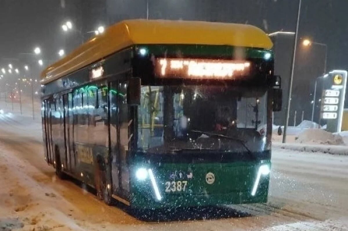    В Пензе оштрафовали перевозчиков за грязь и отсутствие экипировки