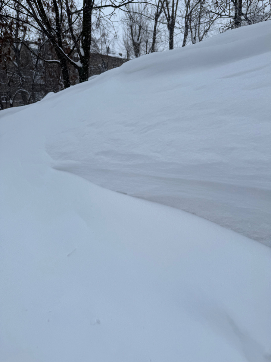 Давно мы мечтали о настоящей русской зиме со снежком и морозцем. Этой зимой наши мечты сбылись: и снега «выше крыши», и мороз такой, что работает лучше всяких омолаживающих криопроцедур. 
Однако во всей этой «красоте красотющей»  есть и отрицательные моменты.
Приятельница на днях мне рассказала, что получила серьезную травму ноги, упав на ступеньках своей районной поликлиники - ступеньки были не чищены, и она подскользнулась, потому что под слоем снега был лед.
Лечилась она за свой счет, до сих пор еще окончательно не восстановилась, в течение 2 месяцев не могла работать (имеет статус самозанятой), потому что ее работа требует постоянного нахождения на ногах.
Ни с какими претензиями она не обращалась. Понять это можно: мы воспитаны по-другому. 
Это только в Америке с Макдональдса можно взыскать 1 млн. долларов за то, что клиент подскользнулся на мокром полу (а таблички «Осторожно, скользкий пол» не было) и пролил на себя горячий кофе (нашумевший кейс конца прошлого века).
Как же в таких ситуациях надо поступать? Давайте рассмотрим возможный алгоритм действий в случае, описанном выше - падение на ступеньках поликлиники, повлекшее серьезную травматизацию гражданина.
Итак, нужно:
- Зафиксировать получение травмы, а также место ее получения (обращение к травматологу, запросить запись с видеокамеры и тд)
- По возможности взять контакты очевидцев
- Собрать все финансовые документы, которыми можно подтвердить расходы на лечение и реабилитацию
- Документально обосновать размер утраченного заработка
- Обосновать моральный ущерб (если собираетесь взыскивать)
- Написать досудебную претензию (всегда лучше попробовать сначала мирно урегулировать вопрос)
Претензию направляем руководителю медицинской организации. Приказ Департамента здравоохранения г. Москвы от 05.12.2023 N1187 вам в помощь.

P.S. Рекомендации носят общий характер. В каждом конкретном случае возможны свои тонкости и набор юридических средств и приемов.
