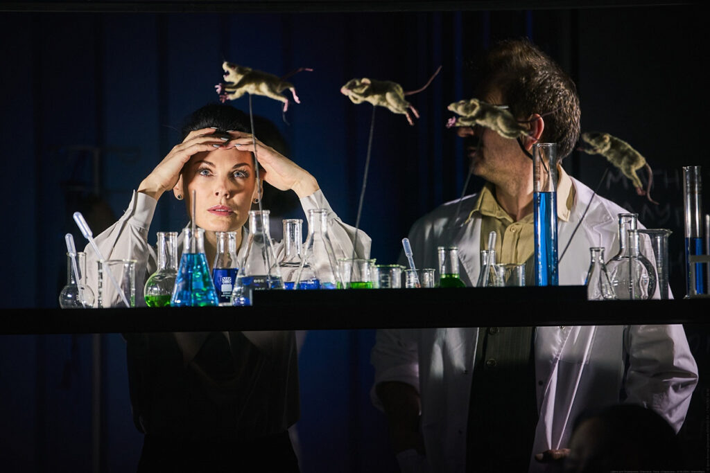    Спектакль «Цветы для Элджернона». Фото предоставлены пресс-службой фестиваля Источник фото: Театр To Go