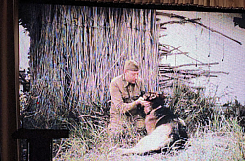    Кадры из фильма. / ФОТО автора Администратор