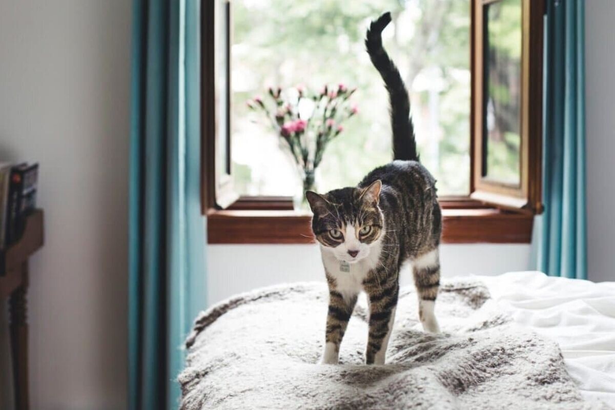 Фото с сайта: https://dzen.ru/a/ZrW3GDnG-HQ4K4fj