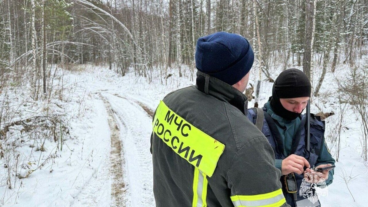 ГУ МЧС России по Красноярскому краю