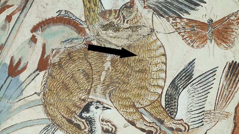    Тигры, убивающие кур, и древние соседи людей в Китае