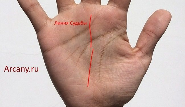 Линия судьбы - схему сделал живой человек. https://www.google.com/url?sa=t&source=web&rct=j&url=https%3A%2F%2Fwww.techinsider.ru%2Fscience%2F625023-esli-linii-na-ladonyah-ne-predskazyvayut-budushchee-to-zachem-oni-nam%2F&ved=0CBYQjRxqFwoTCLiS3bG1tZIDFQAAAAAdAAAAABA6&opi=89978449