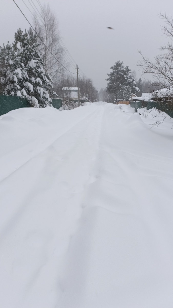 Фото из личного архива.