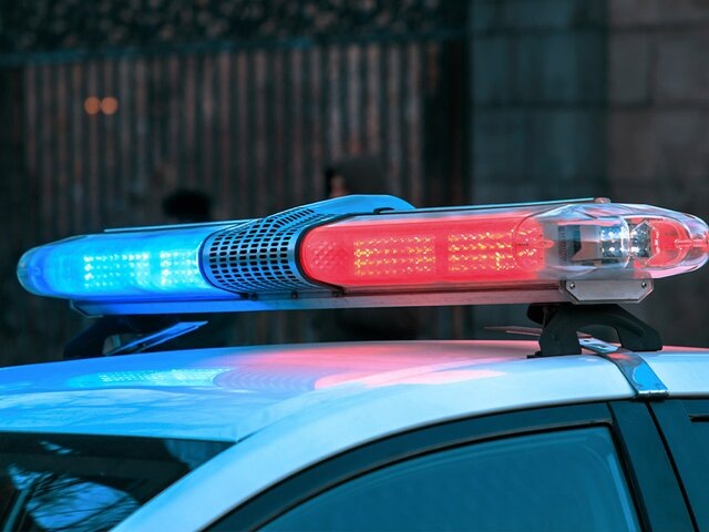    Фото: 123RF.com/danielt1994