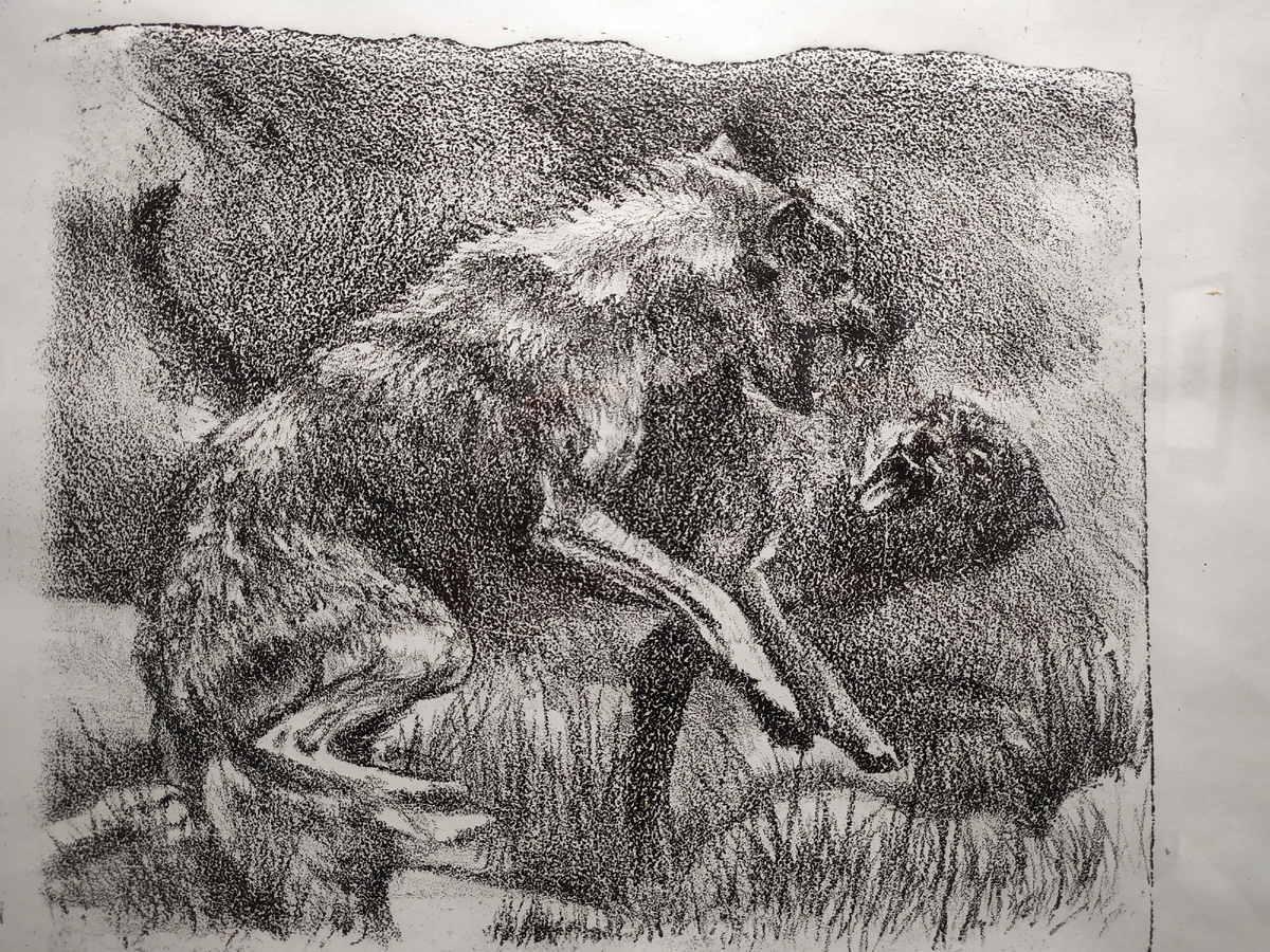 Фото автора. Камила Умарова.