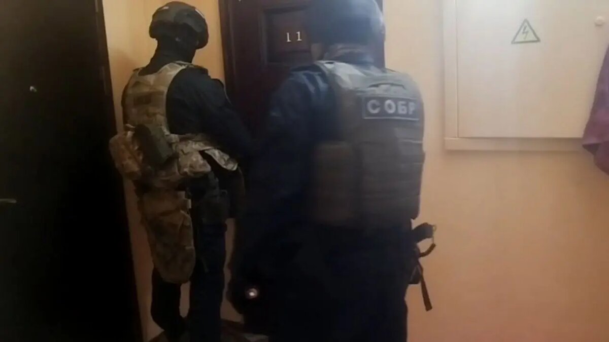    Фото: кадр видео ГУ МВД по Петербургу и Ленобласти