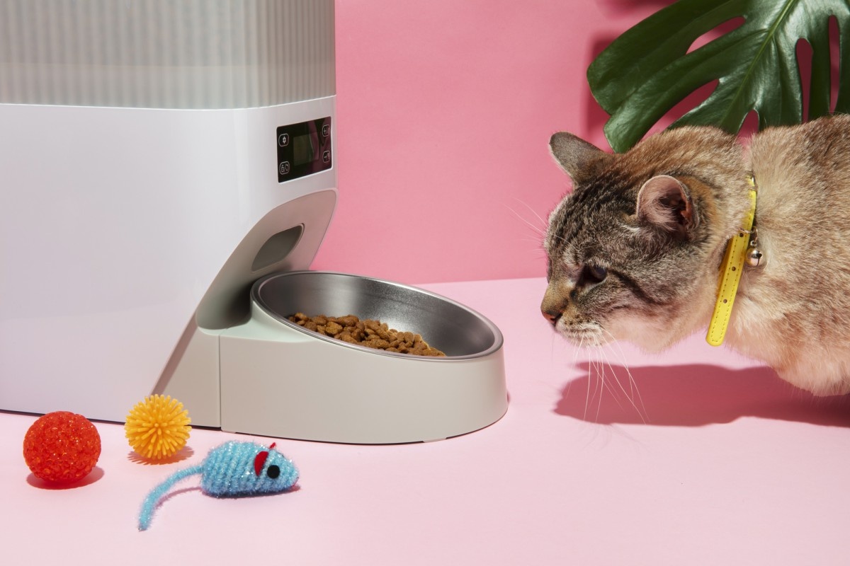 Фото с сайта: https://be-mom.ru/lifehacks/pochemu-koshachiy-i-sobachiy-korm-eto-ne-odno-i-to-zhe-razbiraemsya-v-nyuansakh