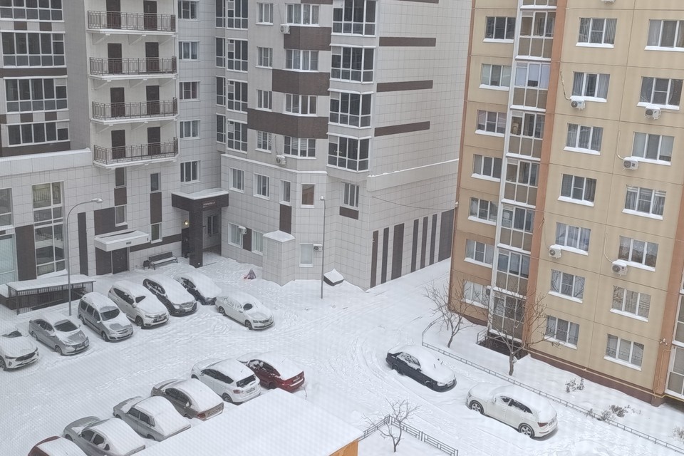    31 января в Воронеже ожидается сильный снег, который может превратиться в настоящую бурю. Анна ГРЕБЕНКИНА