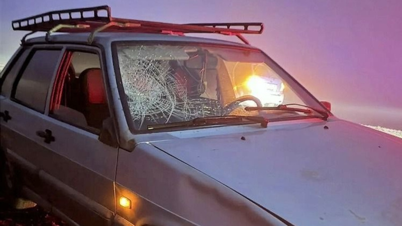      Фото: Госавтоинспекция СК