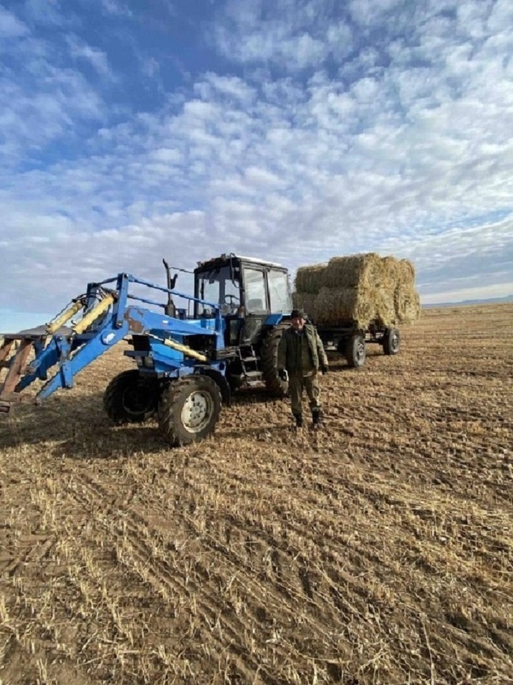     Фото: Минсельхозпрод Бурятии