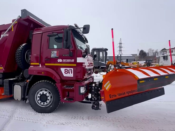     В Хабаровске отметили эффективность спецтехники обновленного автопарка фото: telegram-канал мэра Сергея Кравчука