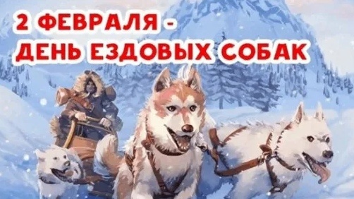 Картинка из интернета