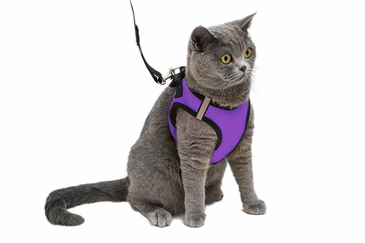 Фото с сайта: https://redplastic.ru/есо-шлейка-текстильная-конфетти-топ-1-об-гр-21-25см-цв-экокожа-светоотр-фиолетовая