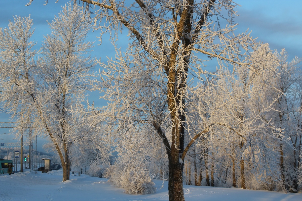    Фото: Мойка78