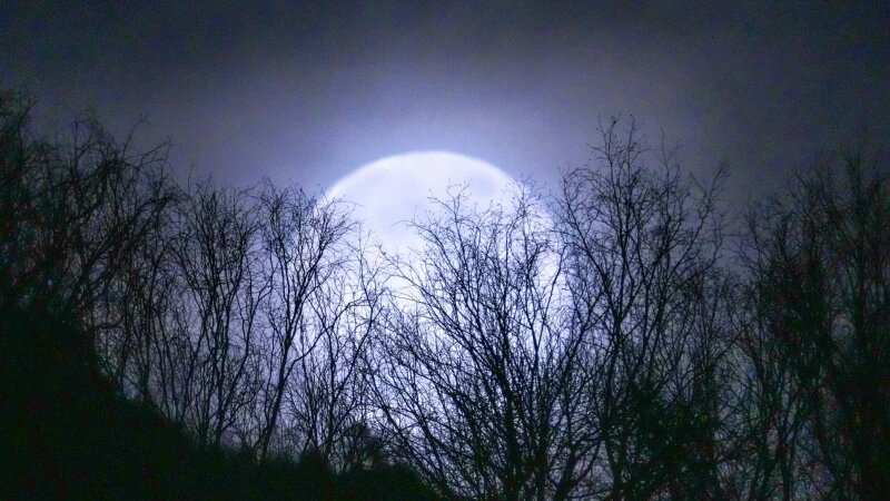     Полнолуние, январь 2025. Роман Воробьев и Татьяна Клименко