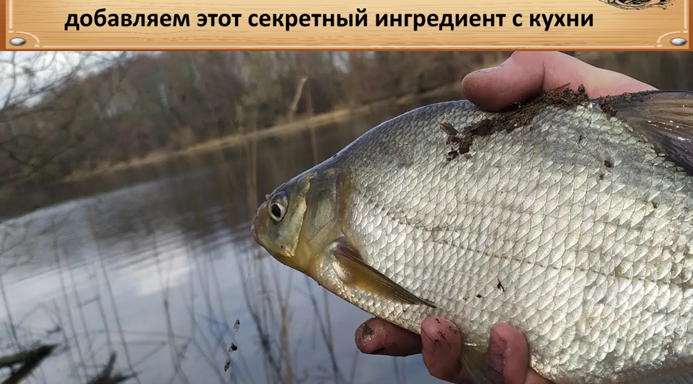Убойная прикормка для весеннего леща: добавляем этот секретный ингредиент с кухни 🎣🥛