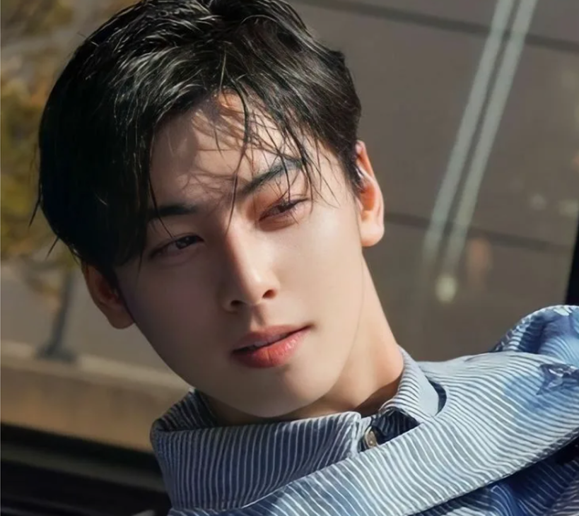 Актер и певец Ча Ы Ну.