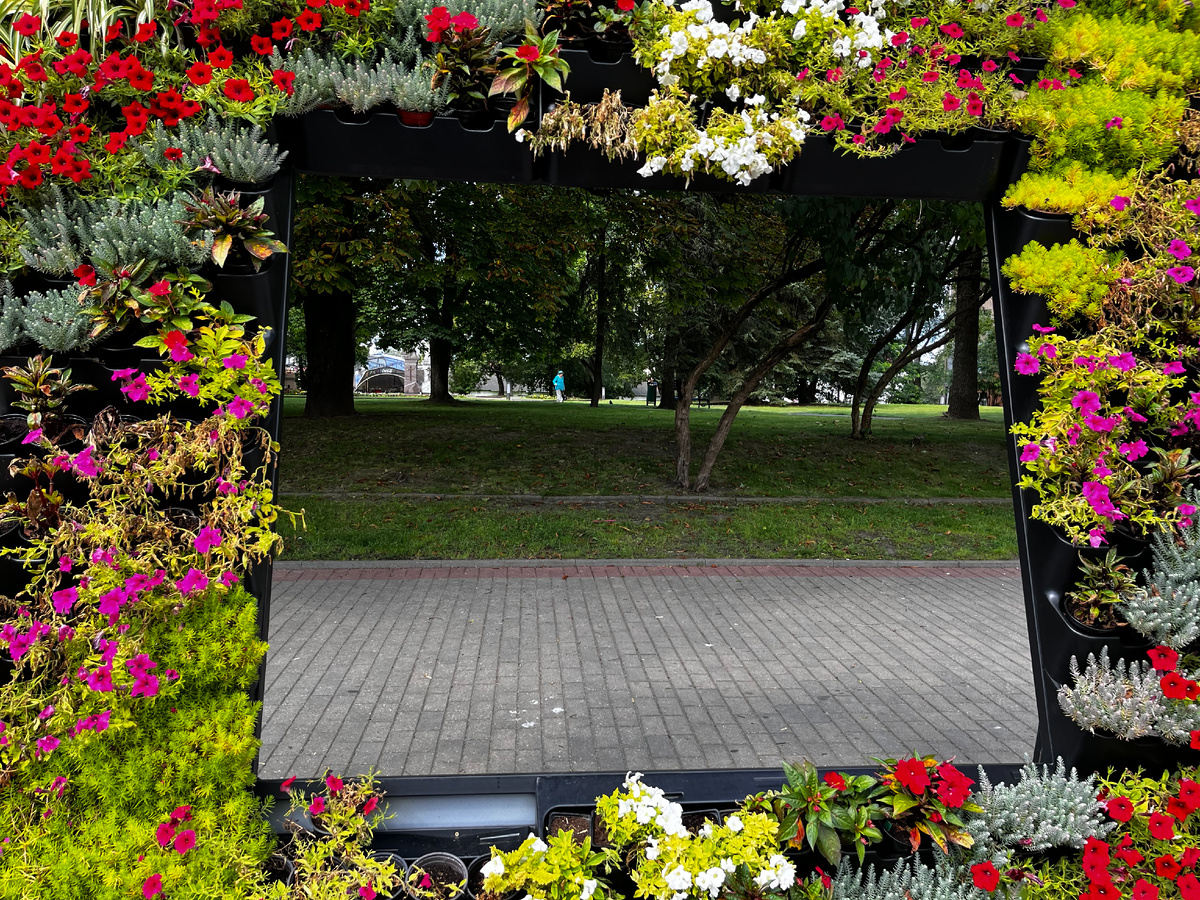 Картина, рамка из цветов в Гродно