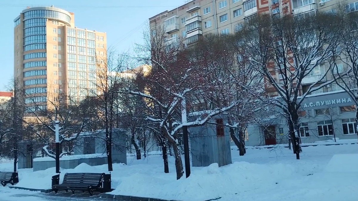 С последним днем января. Библиотека имени Пушкина и бульвар Славы