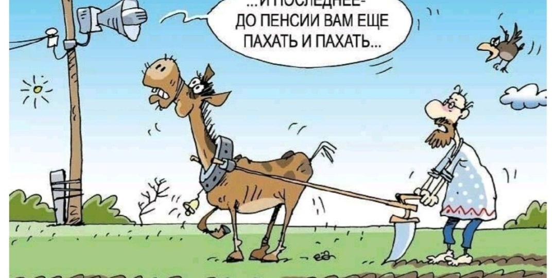 Инвестиции: признак ума, а не показуха.