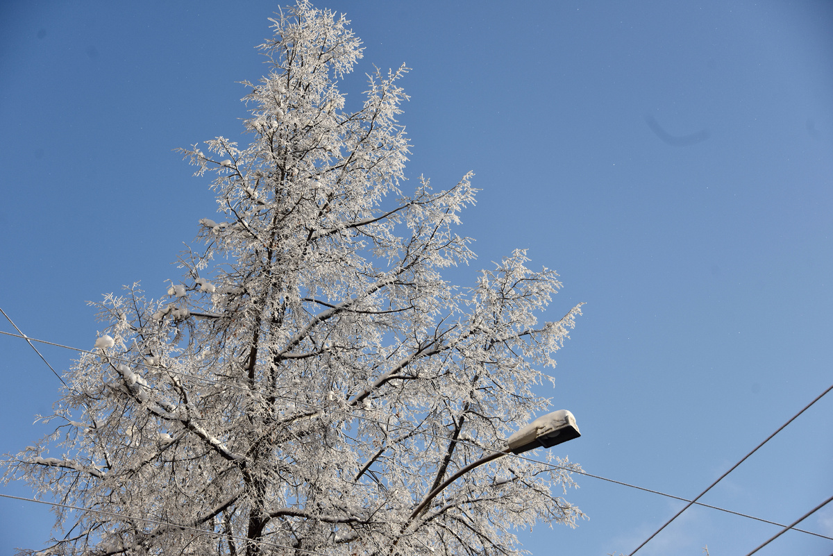 Фото: Полина Зиновьева, «Областная газета»