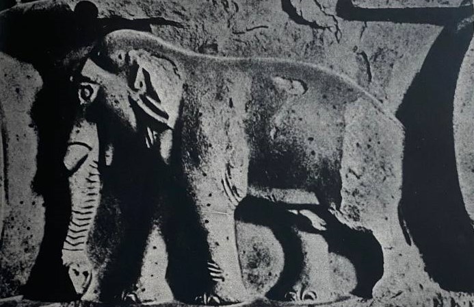 Слон. Рельеф колонны Ашоки, создателя единой Индии. Сарнатх, 243 г. до н. э.