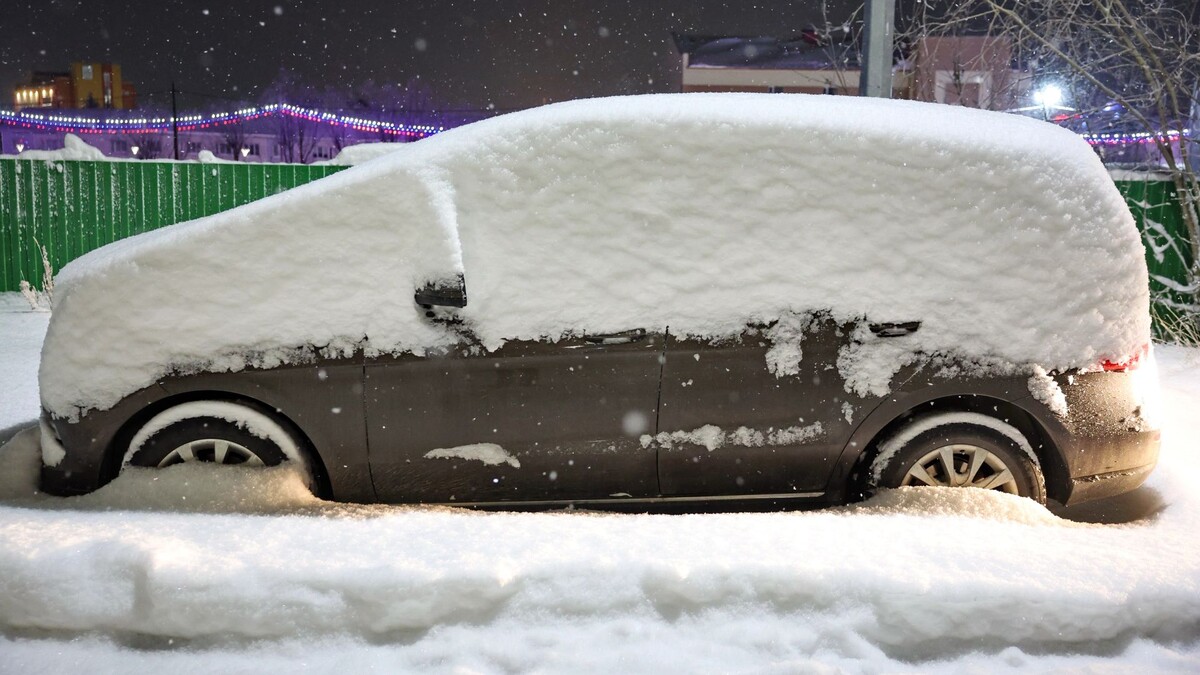    Фото: Андрей Ткачев / «Ямал-Медиа»