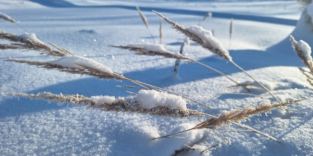 Морозное дыхание зимы в кадре. 57 фотографий в минус 25
