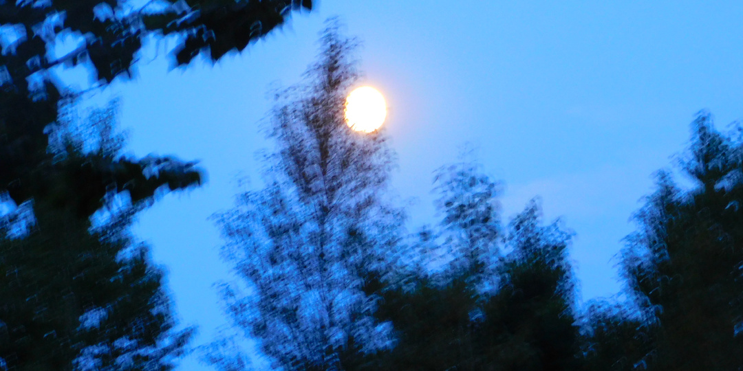 Родные околицы (часть 15)