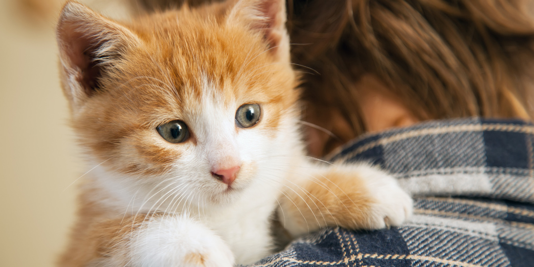 Письмо без адреса