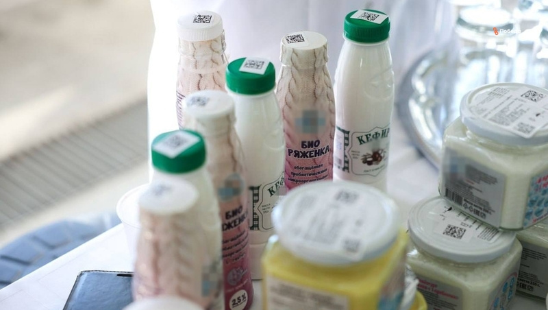      Фото: пресс-служба СКФУ