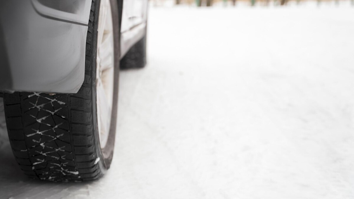    Фото: freepik.com