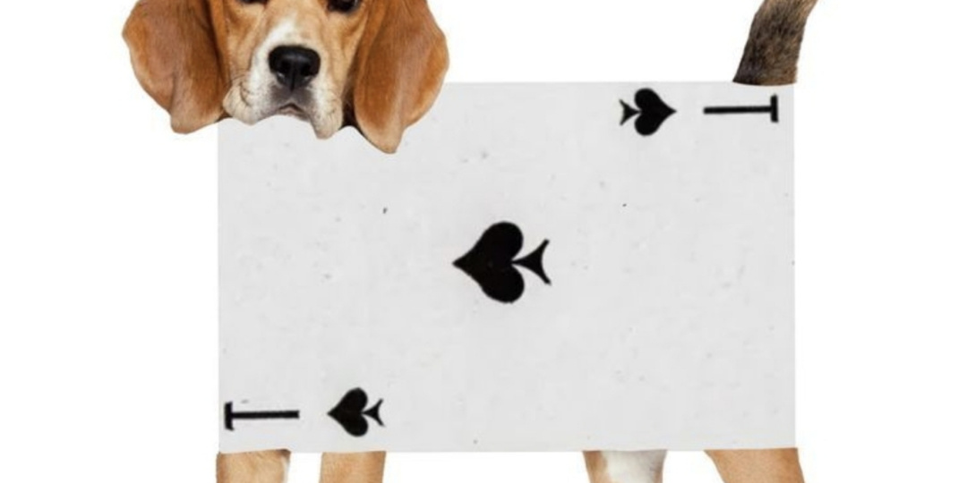 Неприятные моменты с Интернетом и не только в Турции.