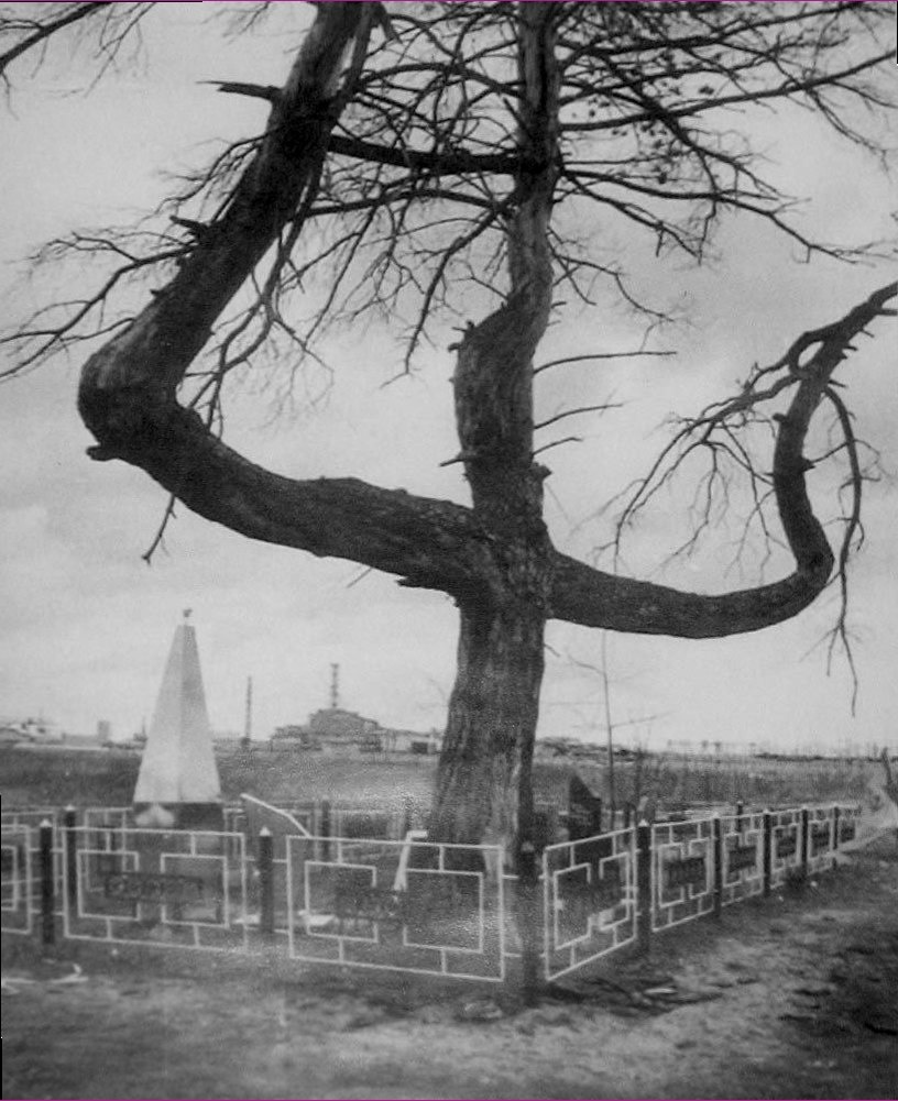 жуткое дерево