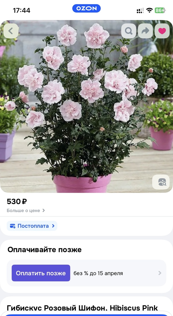 То что должно вырасти из семян