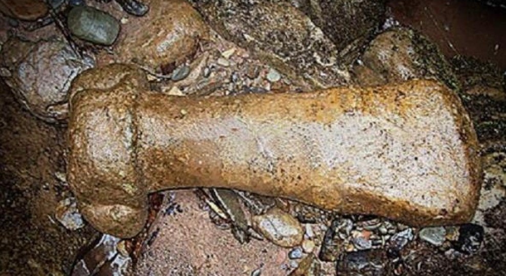 Город, где молотки весом с человека: правда о «Городе Гигантов» в джунглях Амазонки