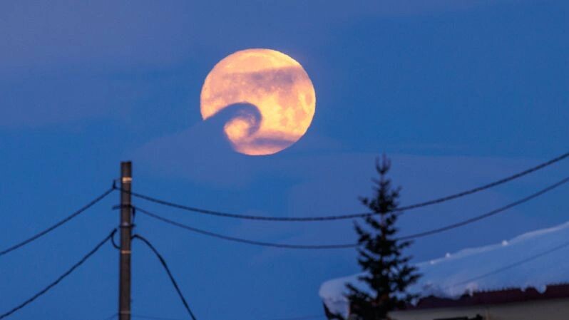    Фото: Фёдор Воронов/«Ямал-Медиа»