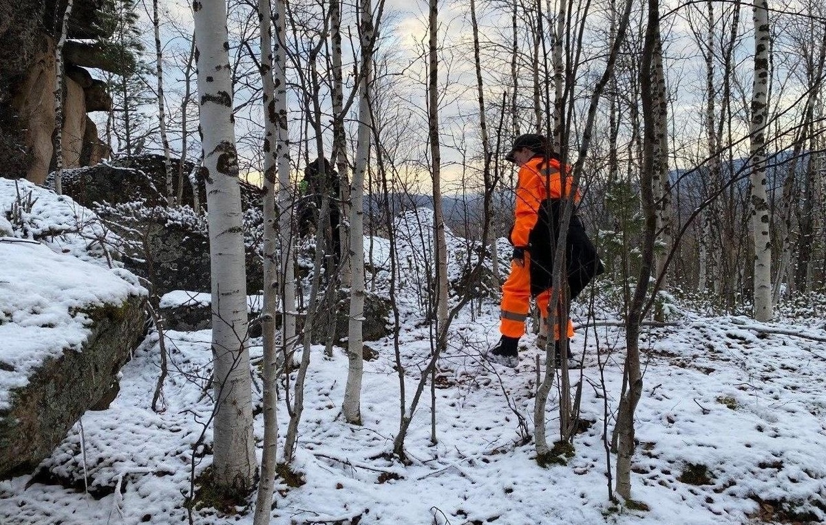 Пресс-служба "ЛизаАлерт"/ ТАСС