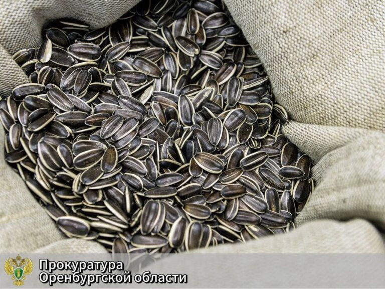    В Сакмарском районе осудили похитителей 22 тонн семечек Оренбуржье