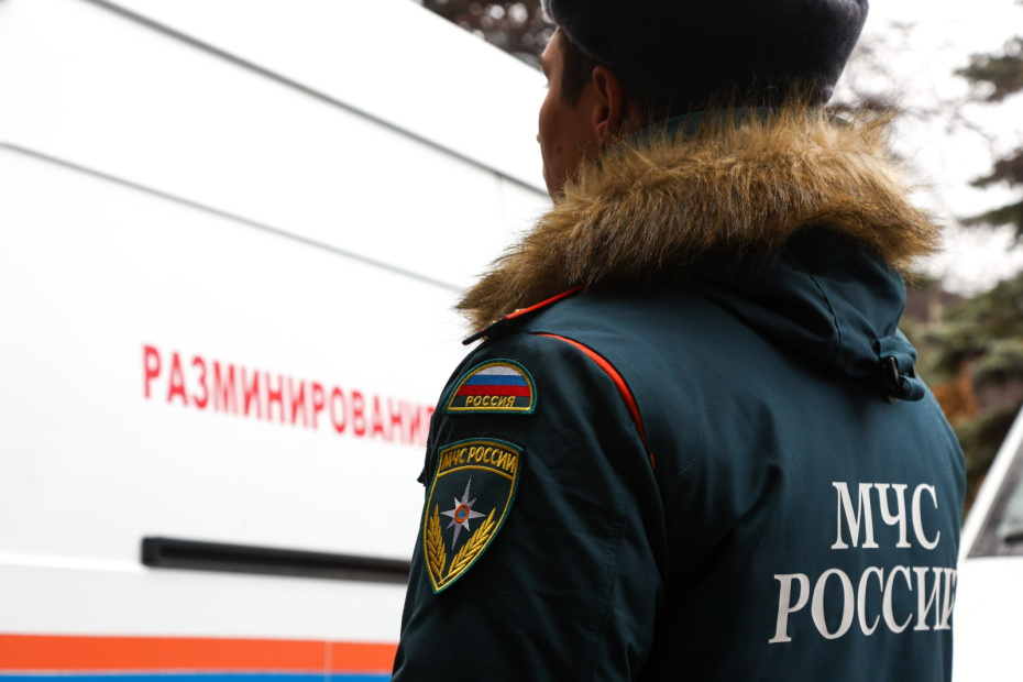    Наталья Шатохина/NEWS.ru