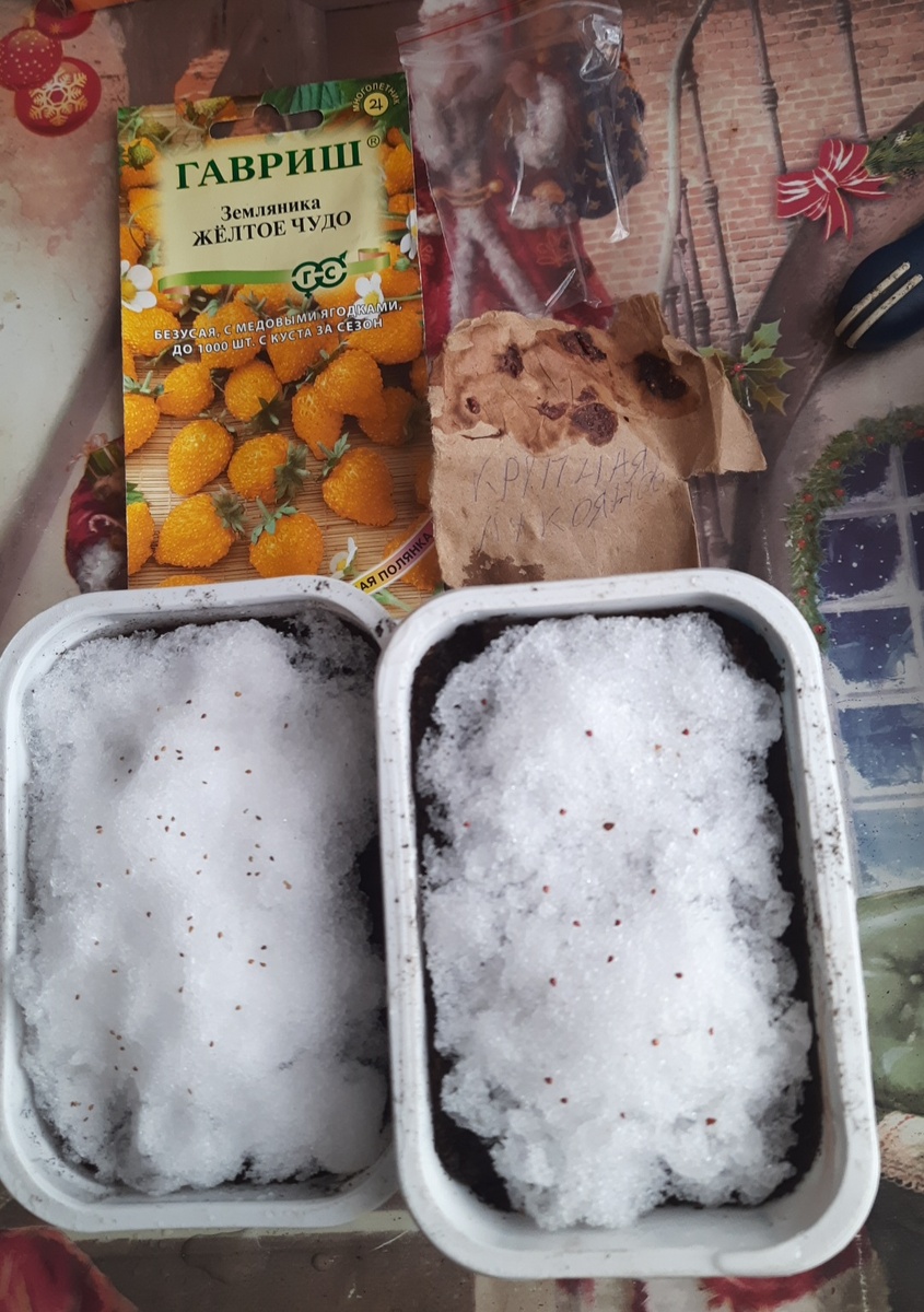 Фото из личного архива 