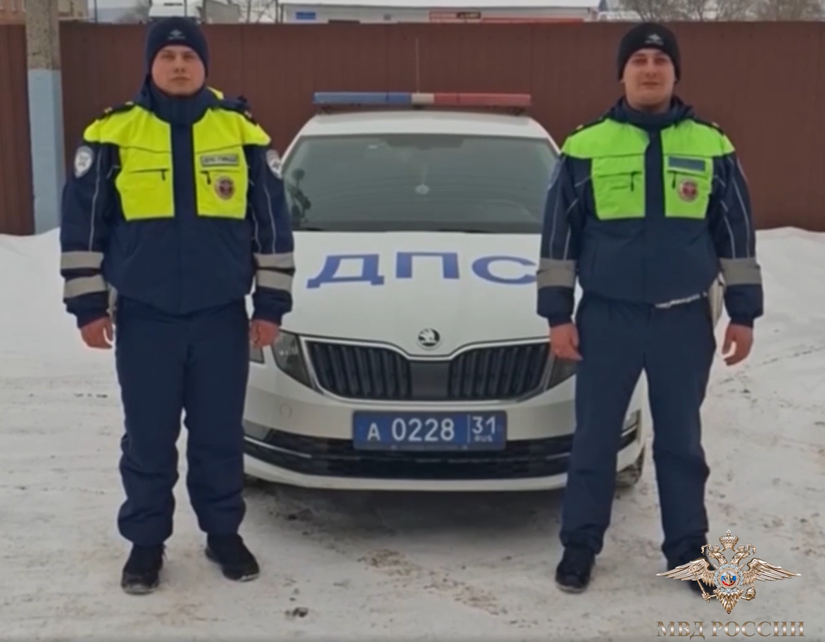     / Источник: © МВД России