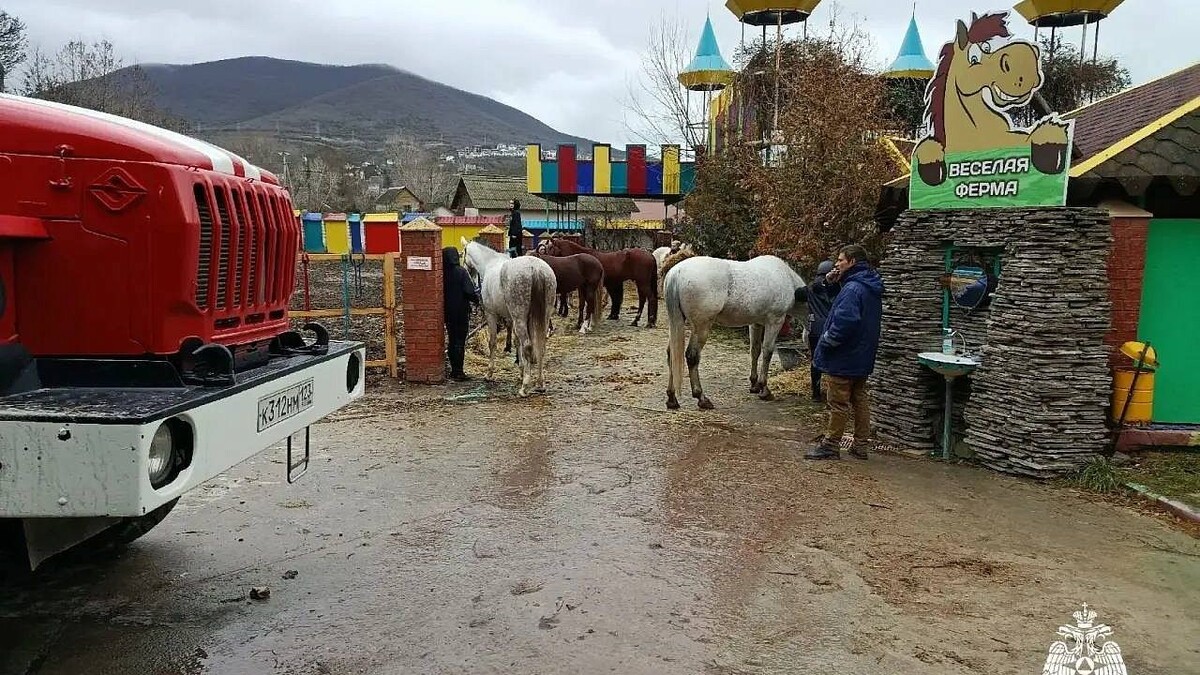    фото: пресс-служба ГУ МЧС России по Краснодарскому краю