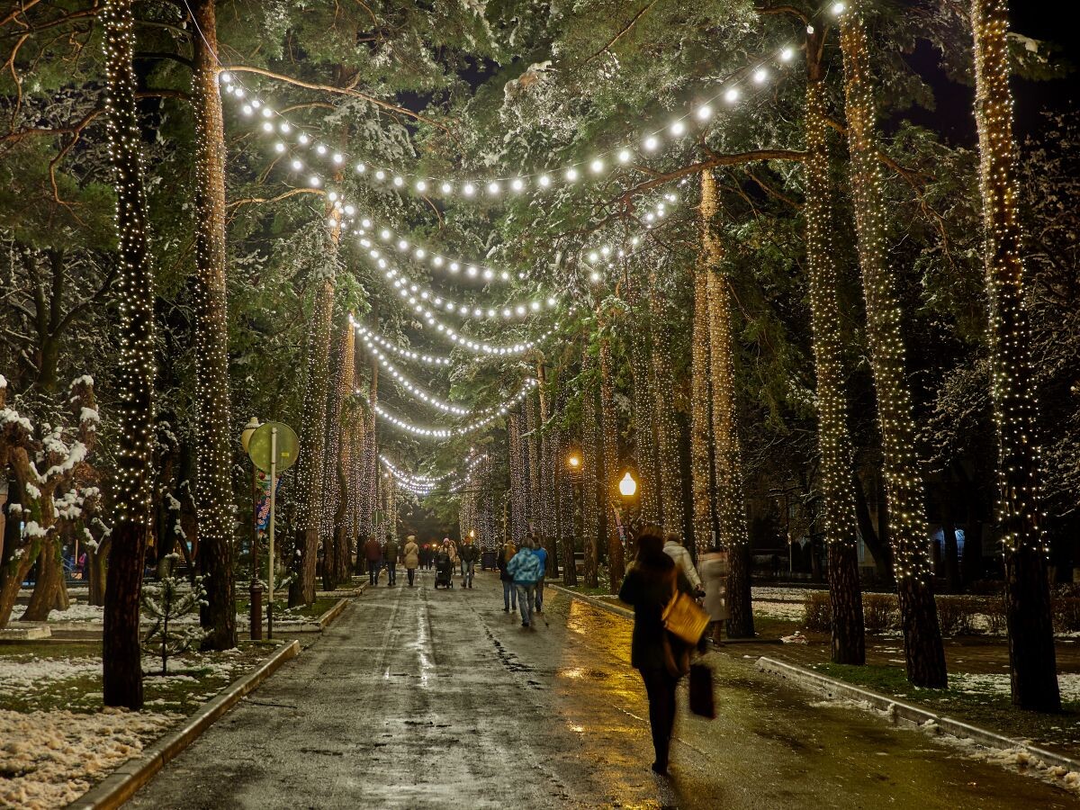 Тоже старая фотография аллеи 1000 сосен.